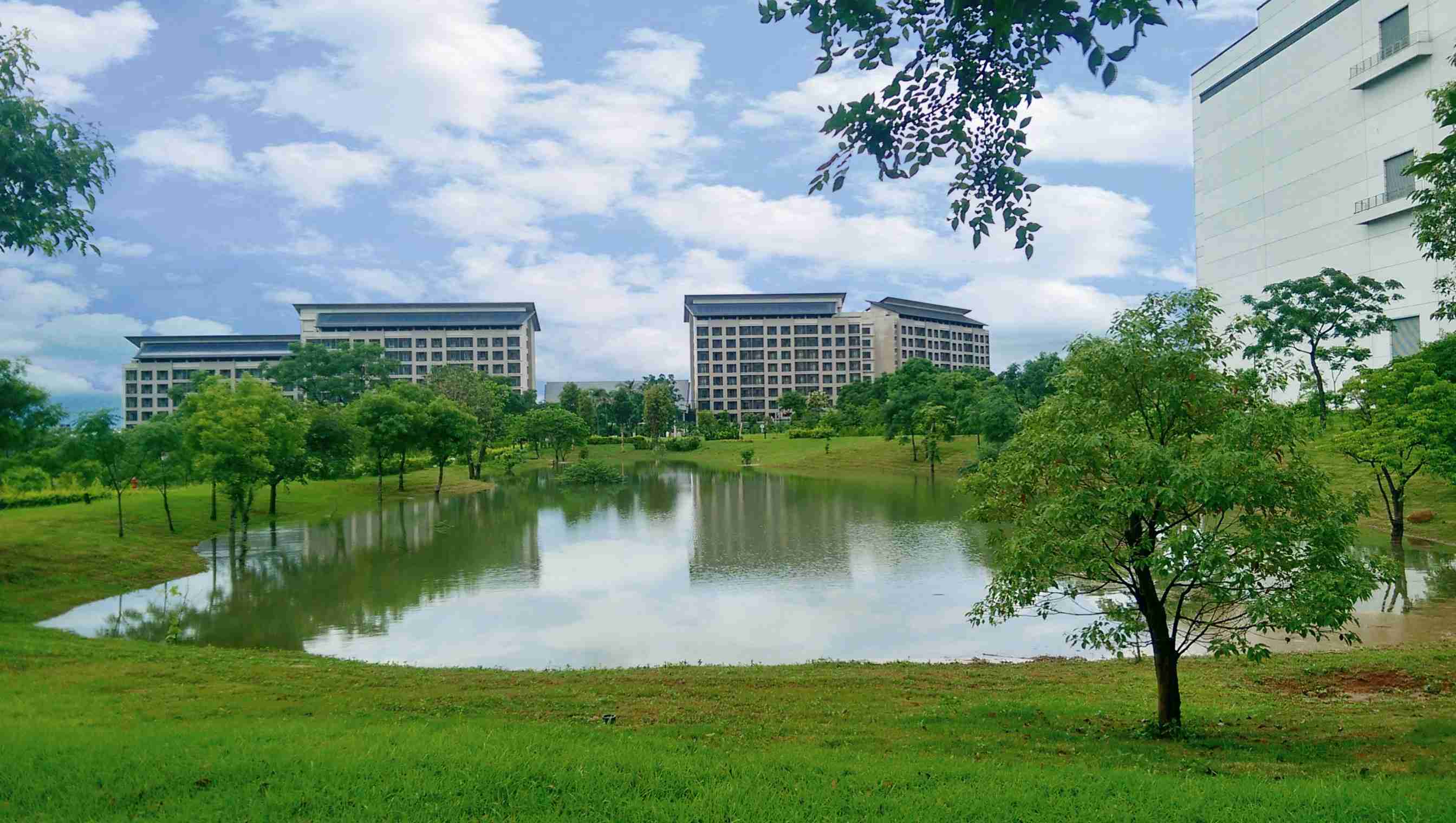 CG电子响应国际倡议生物多样性趋势，，，首次发布TNFD自然相关财务揭露报告书，，擘划及开展CG电子生物多样性政策之承诺，，逐步迈向与自然和谐共生